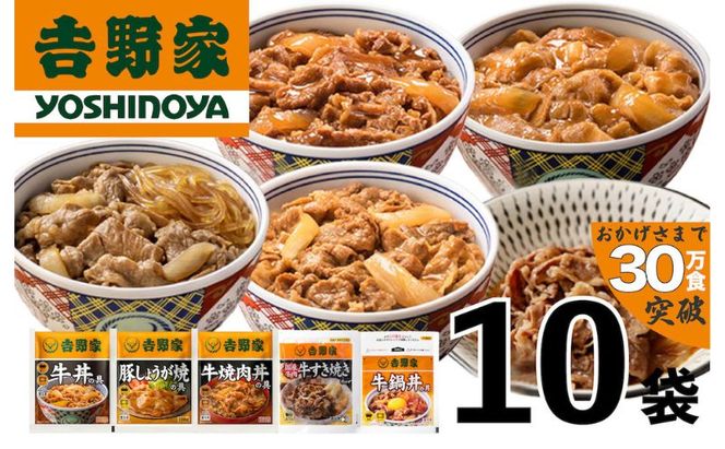 吉野家 人気5種 10袋 セット 詰め合わせ 冷凍 牛丼 レトルト 丼の具 レトルト食品 非常食 防災食 新潟 十日町市