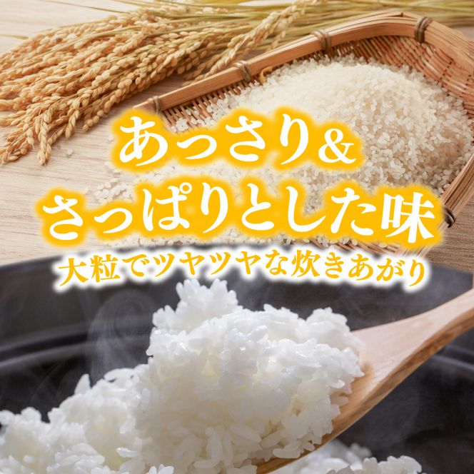 【2ヵ月定期便】令和8年度産 萌えみのり 5kg 【 精米 白米 米 コメ お米 おこめ ブランド米 ご飯 ごはん 秋田 にかほ 】