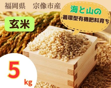 循環型有機肥料で育った玄米【1】ゆめつくし【2】ぴかまる5kg【アグリCATS】_HA1439