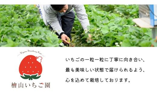 【 先行予約 】 【 定期コース 】 厳選 いちご 4パック 【 毎月 第4木曜に全3回発送 初回発送 2027年1月28日 】 （常陸太田市 共通返礼品 ) 約260g×4パック いばらキッス ひたち姫 やよいひめ から 厳選して お届け 定期便 いちご 数量限定 果物 くだもの フルーツ 苺 イチゴ 数量限定