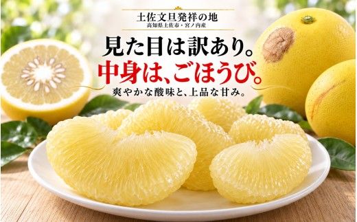 土佐文旦 訳あり 7kg 家庭用 サイズおまかせ M～4L 日本ギフト大賞受賞 文旦発祥の地 園主こだわり 規格外 不揃い 大玉 小玉 高知県土佐市産 高知県産 国産 7キロ ぶんたん みかん 柑橘類 高級フルーツ 果物 わけあり 産地直送 お取り寄せ 先行予約 やの一果彩[BQAC045]