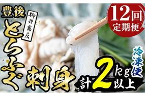 ＜定期便・全12回 (連続)＞とらふぐ刺身 (総量約2kg・2-3人用×12回) とらふぐ ふぐ フグ ふぐ刺し フグ刺し ふぐ刺身 フグ刺身 刺身 鮮魚 冷凍 養殖 国産 大分県 佐伯市【AB201】【柳井商店】