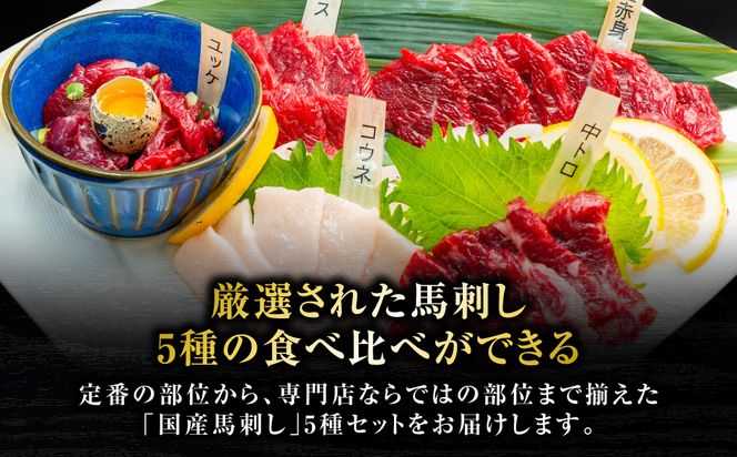 国産 馬刺し 5種 計230g （上赤身50g、ロース50g、中トロ50g、コウネ30g、ユッケ50g）馬肉 馬 肉刺し 生食 刺身 冷凍 郷土料理 熊本県 八代市