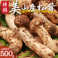 松茸 【 数量限定 】 京都 丹波産 天然 まつたけ 500g 国産 南丹市 マツタケ 松茸ご飯 土瓶蒸し 焼き松茸 秋の味覚 高級 ごちそう ご褒美 贈答 ギフト プレゼント 冷蔵