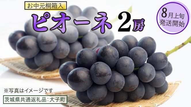 y錧vszy  ˔z sI[l Q[ y2026N8{Jnz(錧ʕԗiFq) uhE Ԃǂ  sI[l ʕ t[c ʎ p 蕨 Mtg v[g