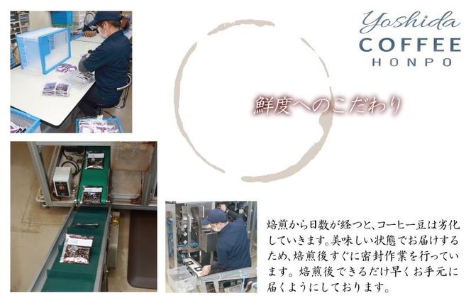 099Z407 吉田珈琲本舗オリジナル 本格カフェラテベース 無糖 600mL×12本 全6回【毎月配送コース】