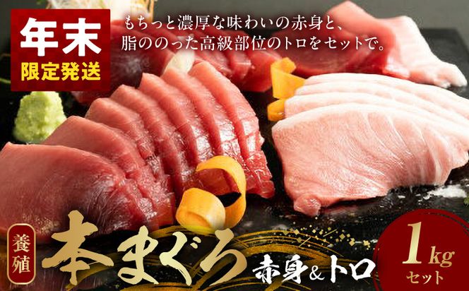 【年末配送】本マグロ（養殖）赤身＆トロセット 1kg_AZ6026_nm
