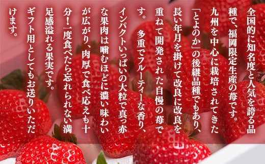 いちご あまおう 福岡産あまおう 24〜30粒 【期間限定発送】 [南国フルーツ 福岡県 宇美町 um40azo970008] 先行予約 イチゴ 苺 フルーツ 果物 果実 甘い 小分け あまい