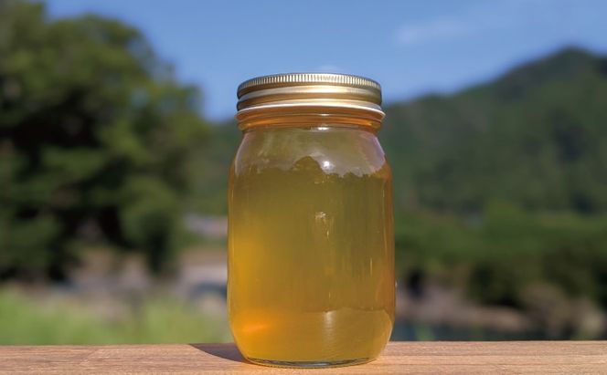 合計600g 天然蜂蜜 国産蜂蜜 非加熱 生はちみつ 岐阜県 美濃市産 初夏 (蜂蜜600g入りガラス瓶1本)B5 深田養蜂のハチミツ
