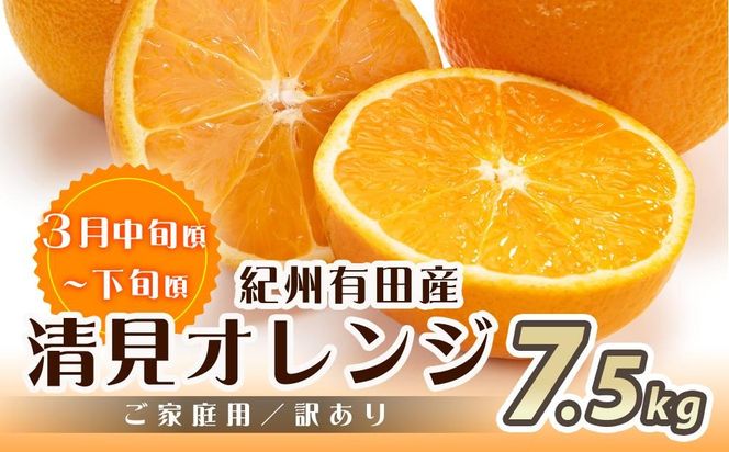 【魚鶴商店厳選】和歌山人気の柑橘ご家庭用・訳あり定期便（みかん・不知火・清見オレンジ）【定期便全3回】【UT117w】AN032