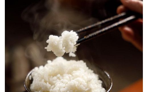 12カ月定期便【特別栽培米】頂米金兵衛 魚沼産従来コシヒカリ（精米）5kg お米 コメ 