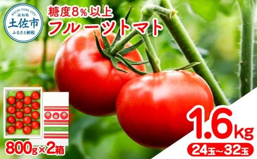 【先行予約】フルーツトマト 約1.6kg(約800g×2) 24～32玉入り 糖度 8度以上 〈2027年1月下旬から順次発送〉フルーツトマト ふるーつとまと とまと トマト 甘い 濃厚 美味しい 箱入り 野菜 料理 高知県 土佐市【ファーム輝】 [BQBM004]