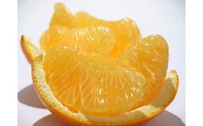 ≪ご褒美ふるーつ≫「完熟ハッサク」約3.8kg【2027年3月上旬頃お届け】 372013_MD015