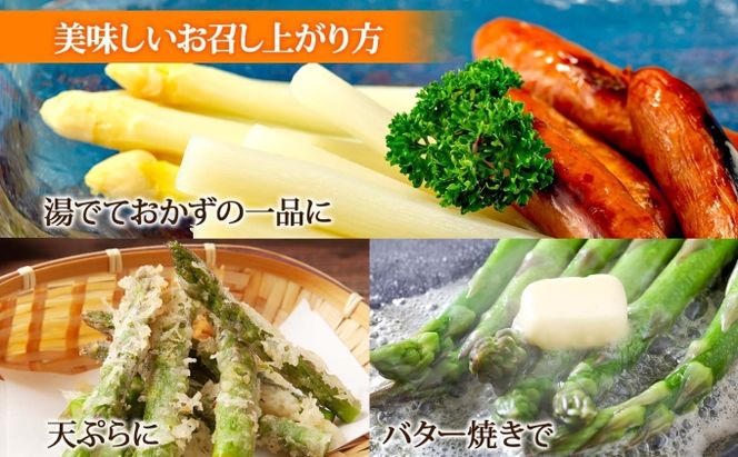 【 2026年 発送 】 北海道産 アスパラガス グリーン ホワイト 2種 約 900g×2 計1.8kg S - L サイズ混合 食べ比べ アスパラ 旬 朝採り 新鮮 お取り寄せ 産地直送 産直 野菜 農作物 詰め合わせ 国産 しりべしや 