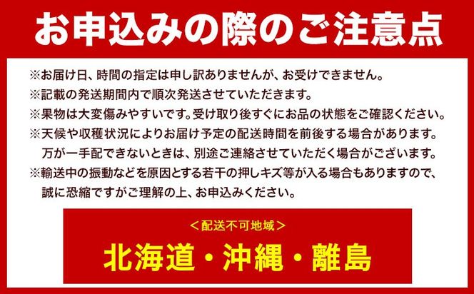 【2026年先行予約】ニューピオーネ 1房480g以上 約2kg 4房 株式会社山博《2026年8月下旬-10月上旬頃出荷》岡山県 笠岡市 ぶどう フルーツ 旬 果物 国産 岡山県産 送料無料 【配送不可地域あり】---Y-25---