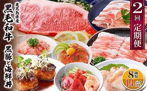 定期便2回配送　鹿児島県産黒毛和牛・黒豚　CC0-0001 【1542064】
