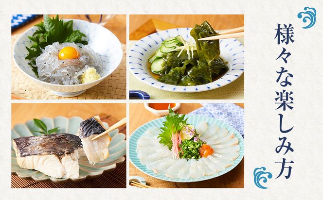 CAS凍結 南紀の誉れ 旬 の 海産物 6品 セット お楽しみ 簡単調理 干物 お造り 塩焼き など 304018_C001