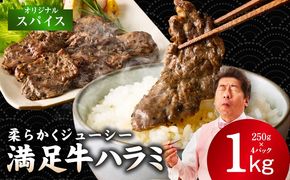 G3356 【満足牛ハラミ】オリジナルスパイス仕込み 合計1kg 【味付け ハラミ 小分け 焼くだけ 簡単調理 BBQ 牛肉 250g×4P】