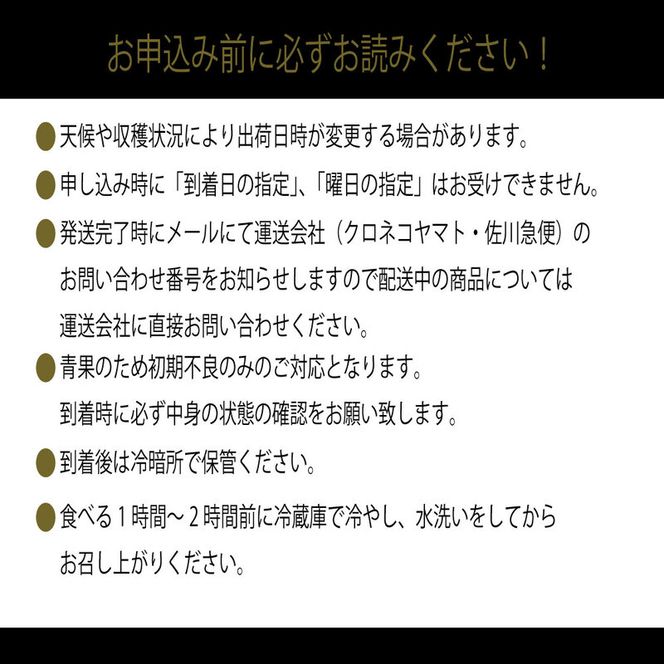 [HS]【定期便全4回】ぶどう先行予約7月・8月・9月・10月発送温室シャインマスカット晴王1房約600g ブドウ 葡萄  岡山県産 国産 フルーツ 果物 ギフト デザート 食後 酸味が少ない 産地直送