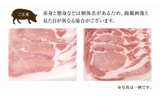 ローズポーク ロース スライス 400g × 2P ( 茨城県共通返礼品 ) ローズ ポーク ブランド豚 豚ロース 豚肉 冷凍 肉 [BM079us] 小分け