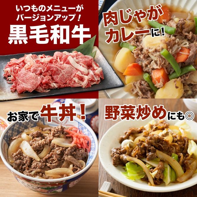 牛肉＆豚肉切り落としセット【3か月定期便】 K16_T004_3