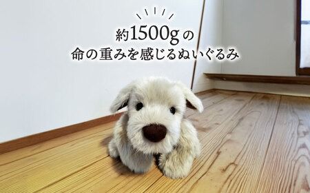 パトランミニ・ナチュラル 糸島市 / 科学工房未来 犬 ペット ぬいぐるみ [AYI007] パトラン ナチュラル ぬいぐるみ 犬 いぬ ハンドメイド クラフトファー ペット