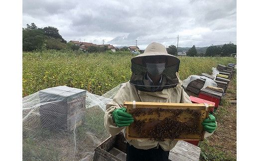 神の国 出雲産 純粋そば蜂蜜 120ｇ×2瓶 合計240ｇ 322032_EG001