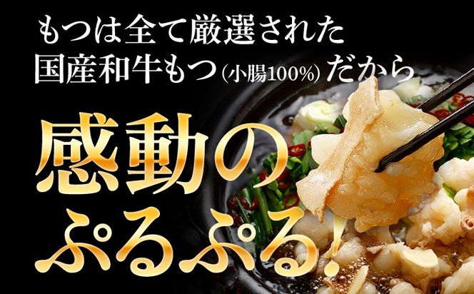 訳あり もつ鍋 醤油味 5人前 醤油 醤油味 国産牛小腸 国産もつ モツ 鍋 お土産 美味しい 豪華 贅沢 福岡県 福岡 九州 グルメ お取り寄せ