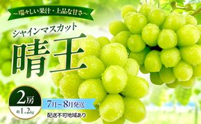ぶどう 2026年 先行予約 シャインマスカット 晴王 2房 約1.2kg 7月～8月発送 岡山県産 種無し 皮ごと食べる みずみずしい 甘い 温室栽培 晴れの国 おかやま 果物大国 満天フルーツ