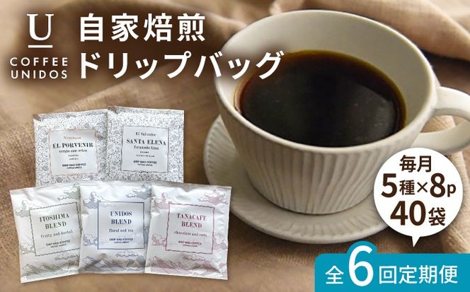 【全6回定期便】コーヒー ドリップ バッグ 40個 セット ( 5種類 × 8個 ) 糸島市 / COFFEE UNIDOS [AQF019] 珈琲 カフェ コーヒー粉
