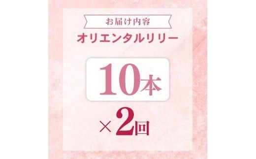 定期便2回 ユリ オリエンタルリリー 10本 花 切り花 プレゼント 贈り物 ギフト 誕生日 記念日 つぼみ 大輪 ピンク 白 香り 優雅 華麗 ブーケ フラワーアレンジメント 観賞用 インテリア 季節の花 高級感 花束 生花 福田園芸 オリエンタルハイブリッド 安芸市 高知県