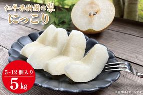 ★先行予約★ 【2026年10月発送】仁平果樹園の梨 「にっこり」5kg (5個～12個) (10月上旬より順次配送) | 果物 新鮮 フルーツ ギフト 梨 ナシ 益子町産梨 甘い あまい 糖度11.5以上 糖度保証 果汁 果肉 栃木県 益子町 (DB005)