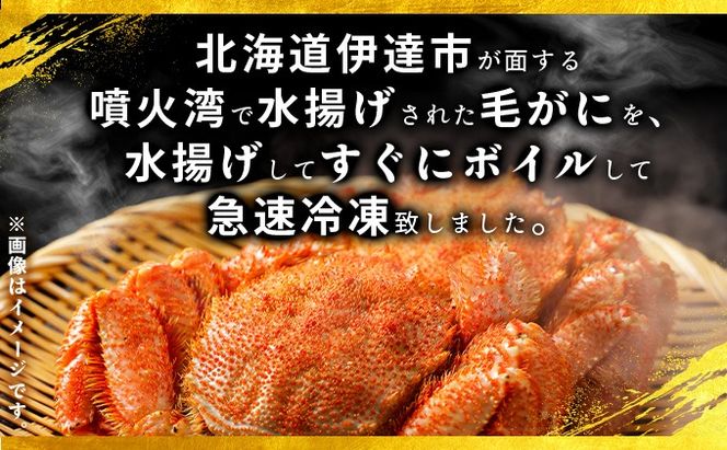 北海道 噴火湾産 冷凍 ボイル 毛がに 約300g×1尾