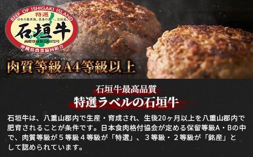 石垣牛ハンバーグ120g×10個【沖縄県 石垣市 高級 黒毛和牛 100％ 石垣牛 ビーフ ハンバーグ】AB-13-2