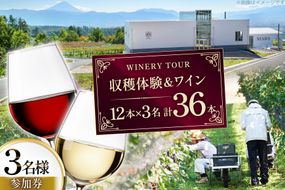 ワイン 収穫体験＆ワインセット 12本×3名 計36本 3名様 参加券 ワイナリー [本坊酒造マルス穂坂ワイナリー 山梨県 韮崎市 20745173]