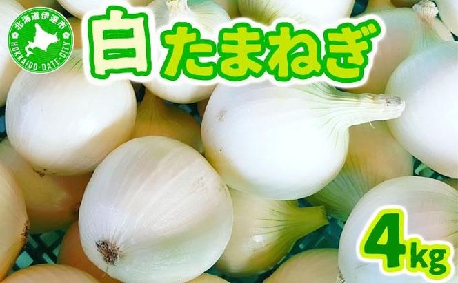 ykCɒBszy2026N6{zʂ˂ 4kg kC ɒBY ^}lM ʔK T_ [famy-002]