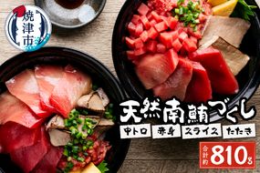 a20-242　総重量約800g！天然南鮪づくし