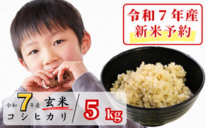 《令和7年産新米予約・10月ごろよりお届け開始》玄米 5kg 令和7年産 コシヒカリ 岡山 あわくら源流米 K-ab-AECA