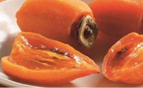 大地と太陽の恵み「あんぽ柿（蜂屋柿）」9～12玉【国見町産】 | 果物 フルーツ ※2027年1月～発送