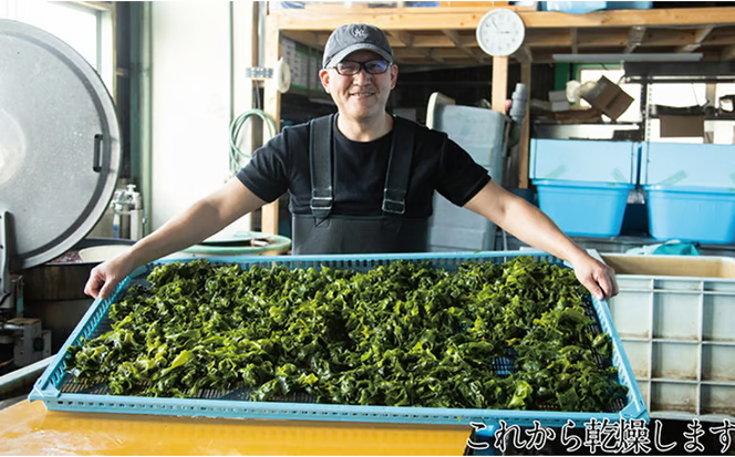 瀬戸内で採れた島磯香る わかめ 22g×6袋と ひじき 28g×6袋 セット【岡山 瀬戸内海 鉄釜炊 天然】 [№5735-1288]