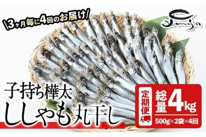 【定期便・全4回】3ヵ月に1回お届け！子持ち樺太ししゃも丸干し (総量4kg・1kg×4回) 干物 ししゃも シシャモ 丸干し 魚 海鮮 冷凍 大分県 佐伯市【AP86】【(株)ヤマジン】