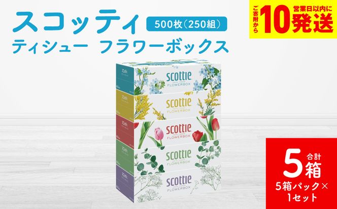 �y�F�{������s�z�y�X�R�b�e�B�z�e�B�V���[ �t�����[�{�b�N�X 250�g 5���p�b�N×1�Z�b�g ���v5�� �e�B�b�V�� ���p�i �����K���i