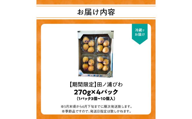 【C07014】【期間限定】田ノ浦びわ 約1.08kg（270g×4パック）