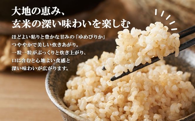 定期便 隔月3回 北海道産 ゆめぴりか 玄米 3kg×4袋 計12kg 小分け 米 特A 国産 ごはん グルメ 食物繊維 ヘルシー お取り寄せ 備蓄 長期保存 プレゼント 贈答 ギフト ようてい農業協同組合 ホクレン 送料無料 北海道 倶知安町 