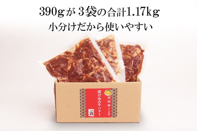 漬け込み牛ハラミ（利府梨のたれ使用）計1.17kg 390g ×3パック|06_snw-020301