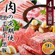 定期便4回配送　肉の定期便 EE-6016 【1491491】