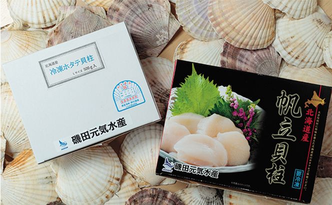 ジャンボホタテ貝柱 500g (12玉前後) 北海道 帆立 ホタテ ほたて 貝柱 ホタテ貝柱 玉冷 魚貝類 