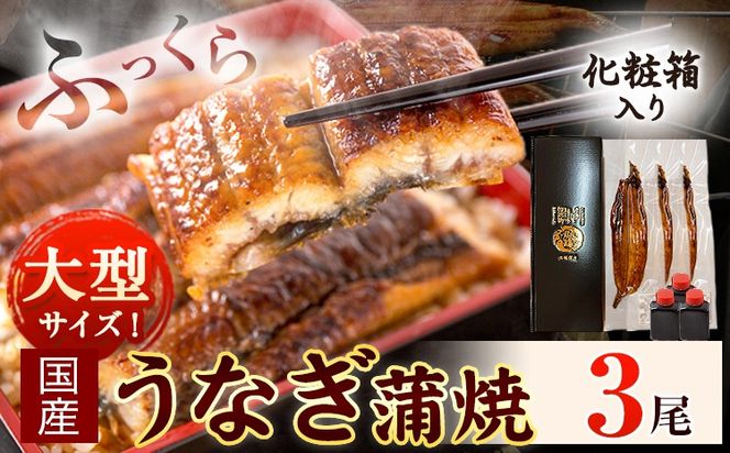 大型サイズ ふっくら柔らか国産 うなぎ 蒲焼き 3尾 化粧箱入(真空パック入) 株式会社魚鶴《30日以内に出荷予定(土日祝除く)》 和歌山県 日高川町 うなぎ 鰻 ギフト 贈り物---wshg_fuot3_30d_24_26000_3b---