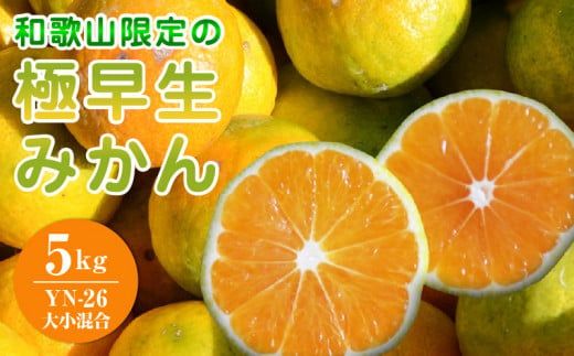 EA6105_【2026年先行予約】和歌山県限定の極早生みかん 5kg (YN-26 大小混合)