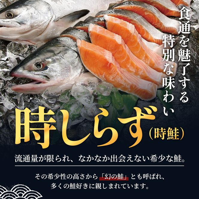 鮭 北海道産 厚岸産 甘塩 時しらず 切身 1.7kg  [ 時鮭 時サケ さけ 焼き魚 朝食 魚 ]